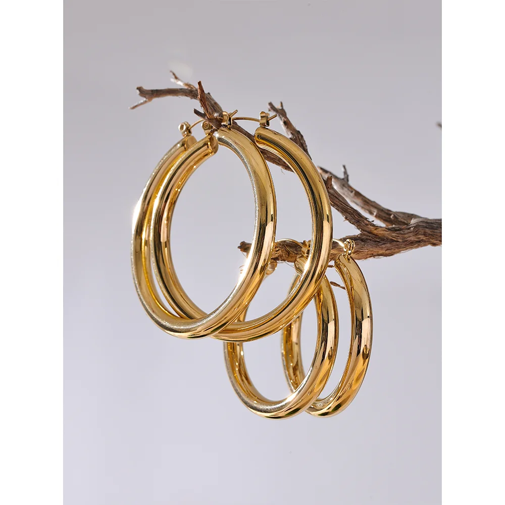 Gold hoop earrings on a branch against a gray background