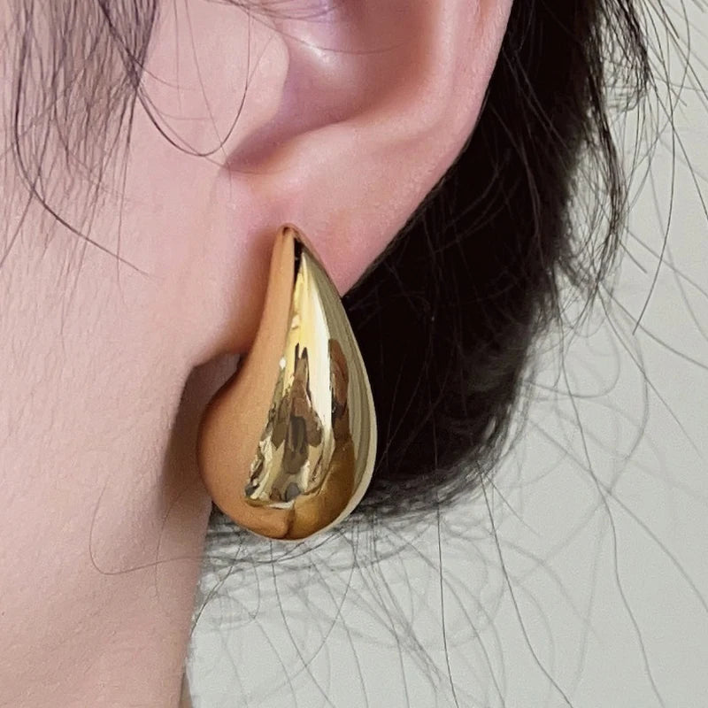 Luxe Drop Metal Earrings