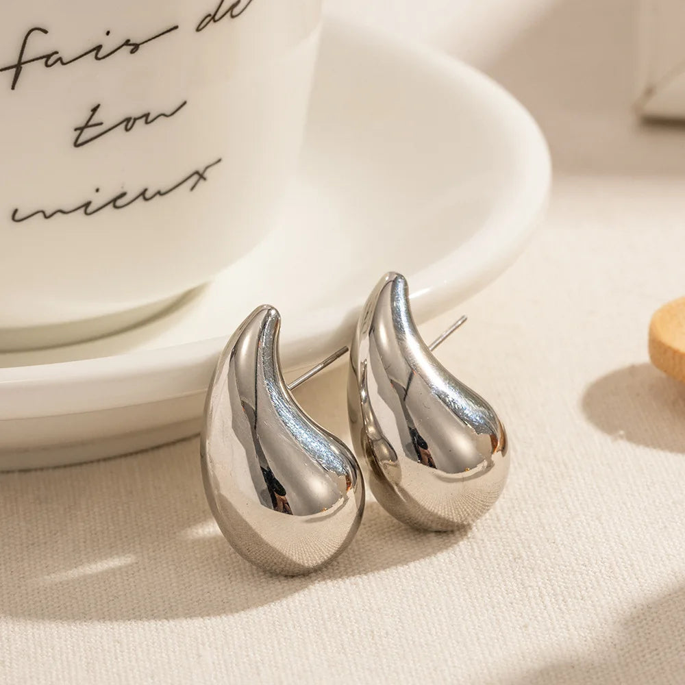 Luxe Drop Metal Earrings