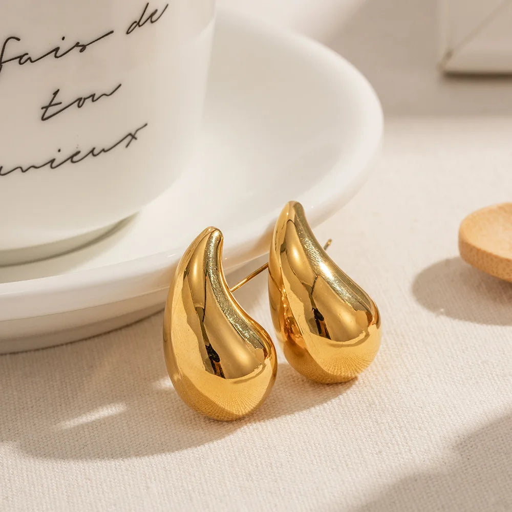 Luxe Drop Metal Earrings