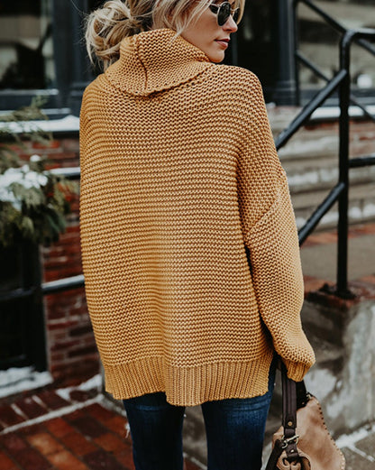 Knitwear Long Sleeve Turtleneck Sweater